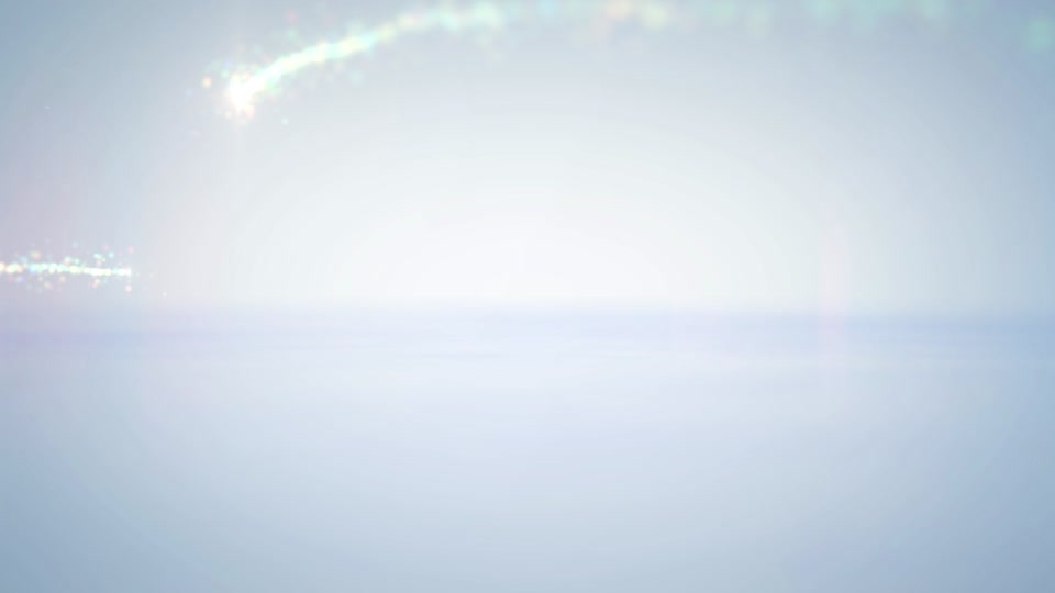 강남구장애인체육회 활동영상(2025.11.28.)